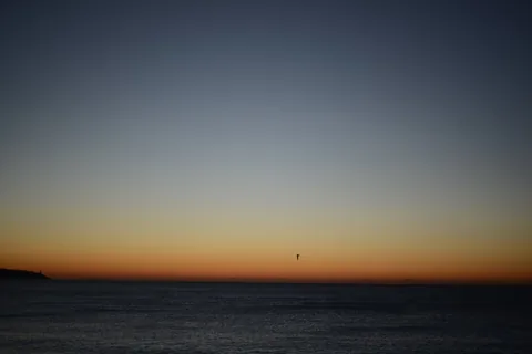 Francesco DiCesare, Mediterranean 1, 2022