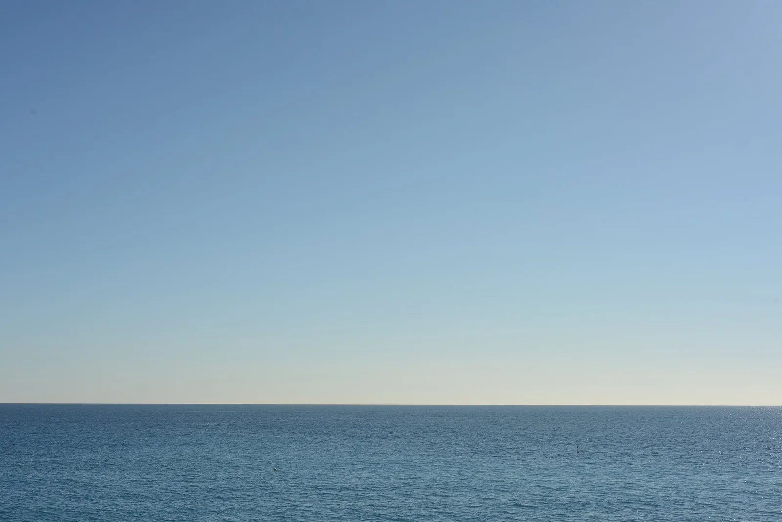 Francesco DiCesare, Mediterranean 2, 2022