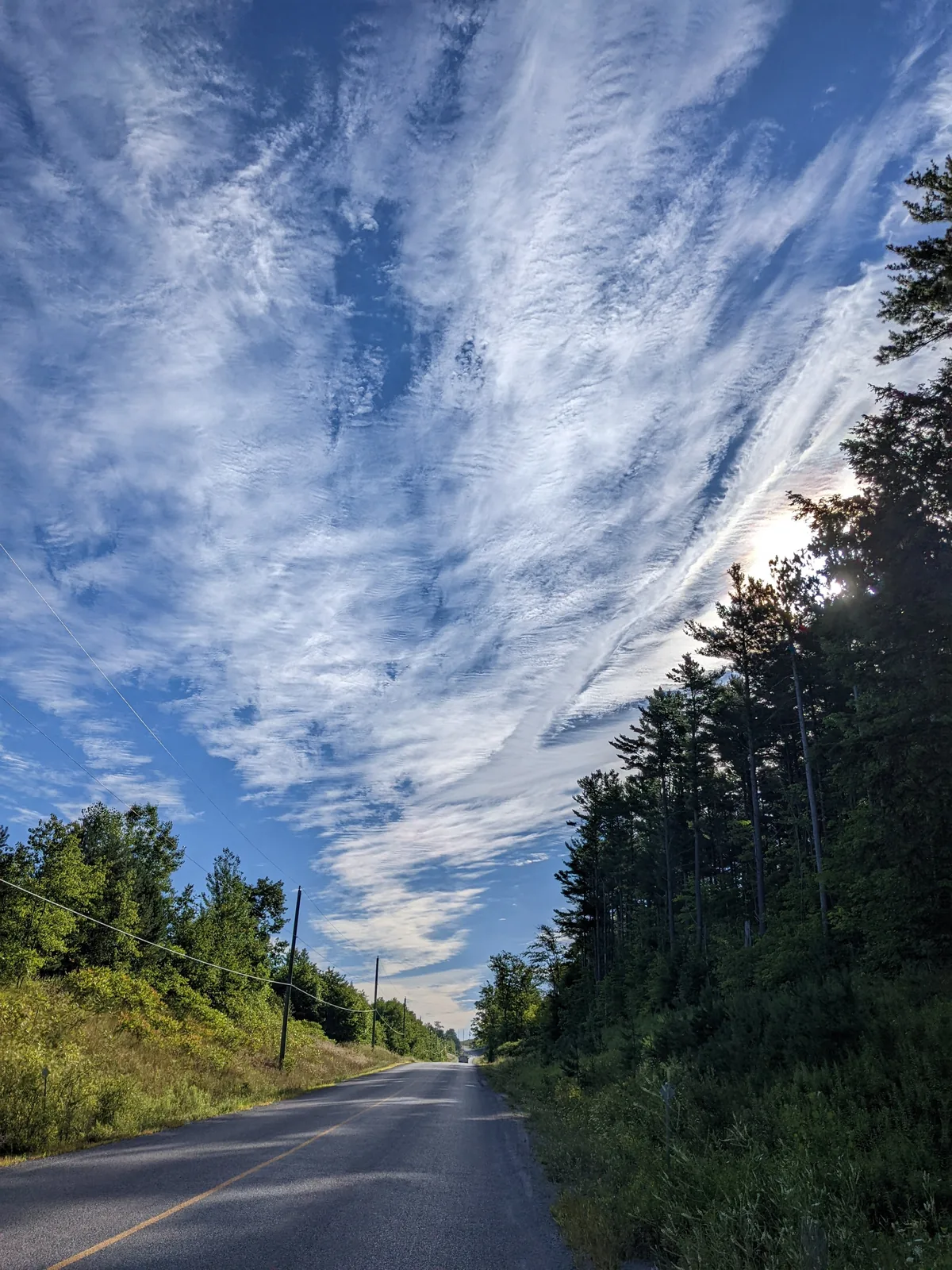 Heather Myers, Forest Road. Photo Paper 8×12 inches
