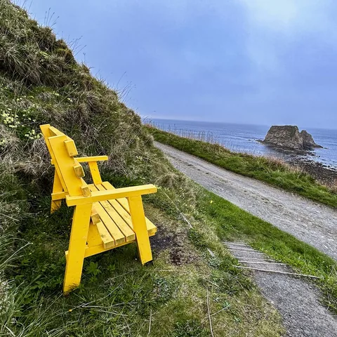 Ingrid Misner, Yellow Bench, Newfoundland
