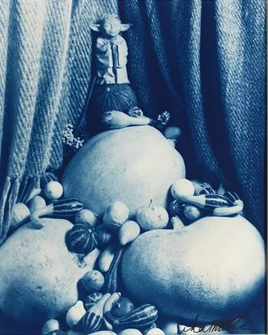 Artwork by Linda McCartney at Rabbit Gallery Toronto