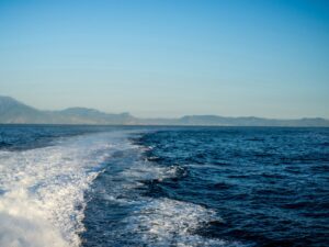 Francesco DiCesare, Florence, 2015