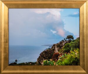 Angelina Aristodemo, Fico D’india a Sicilia, 2018