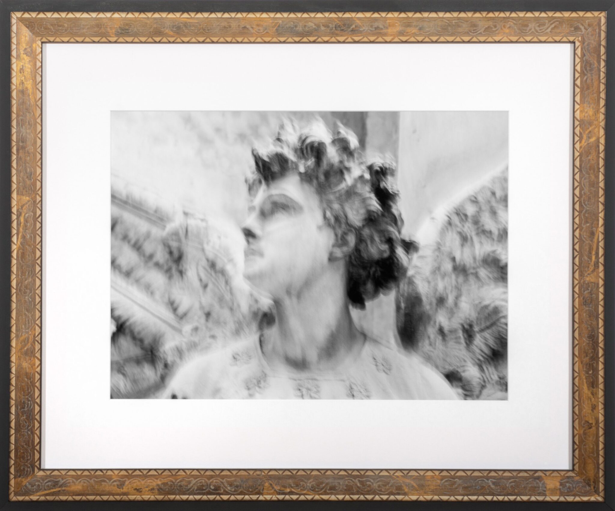 Angelina Aristodemo, Viso D’angelo a Milano, 2018