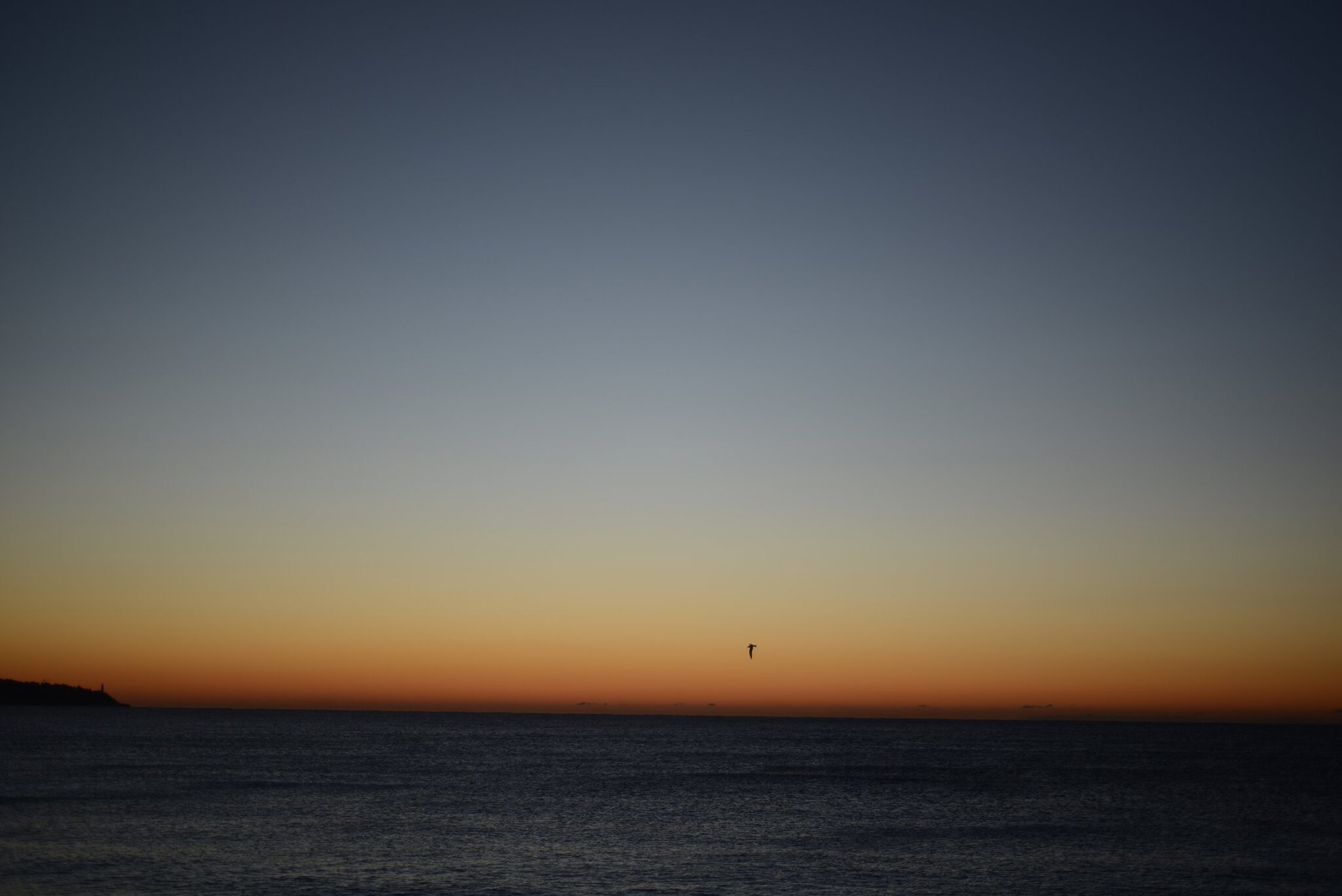 Francesco DiCesare, Mediterranean 1, 2022