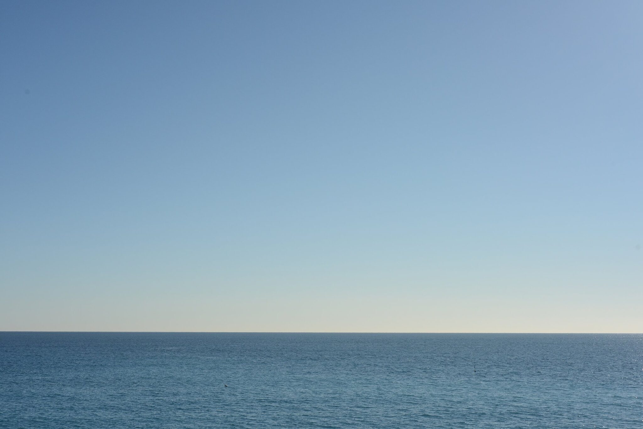 Francesco DiCesare, Mediterranean 2, 2022