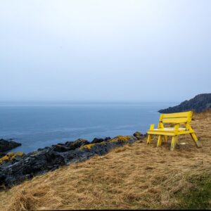 Ingrid Misner, Yellow Bench, Newfoundland