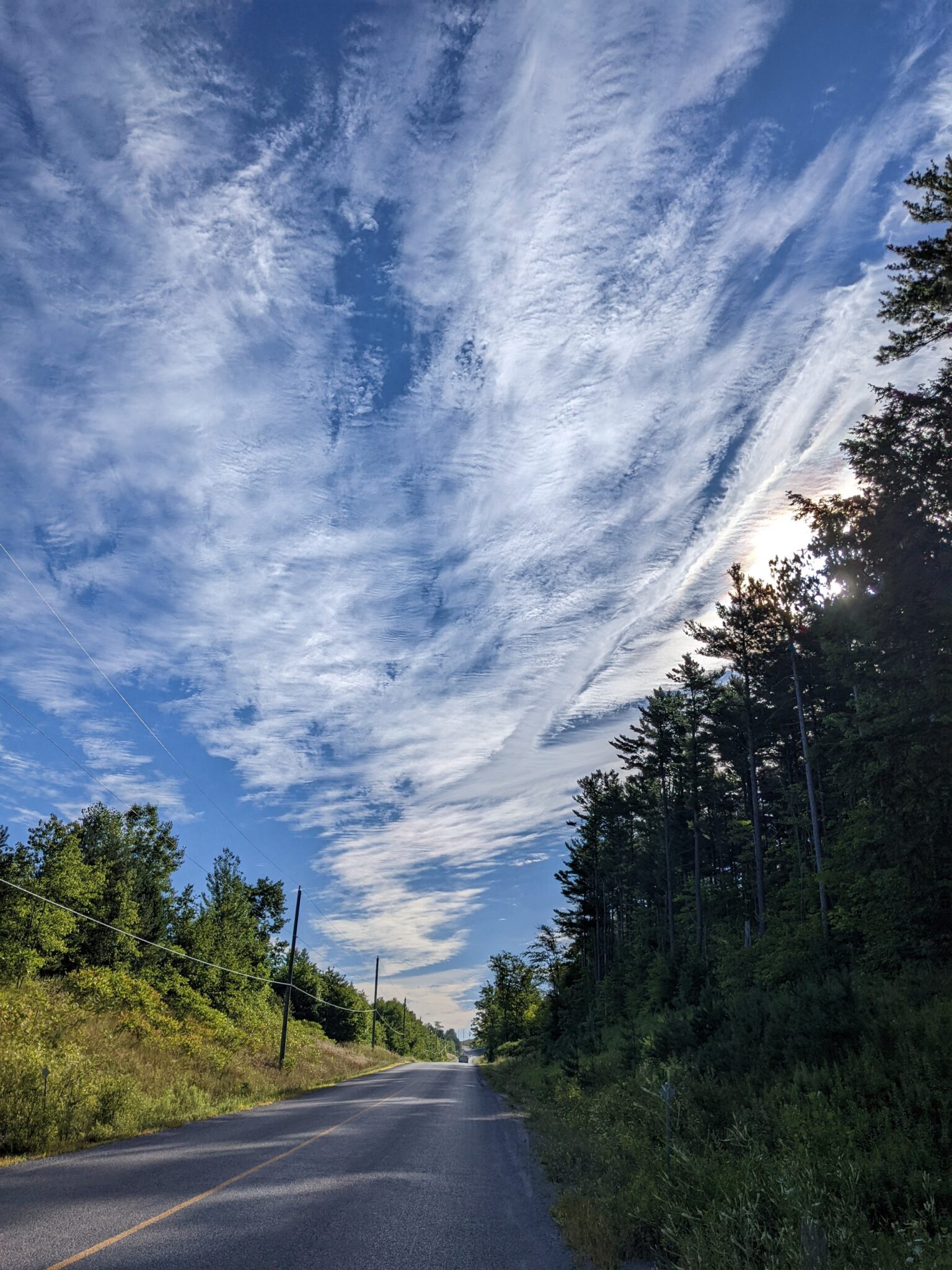 Heather Myers, Forest Road