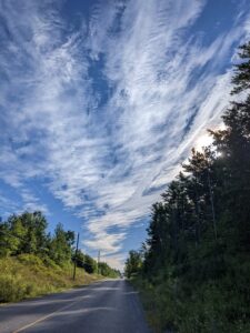 Heather Myers, Forest Road