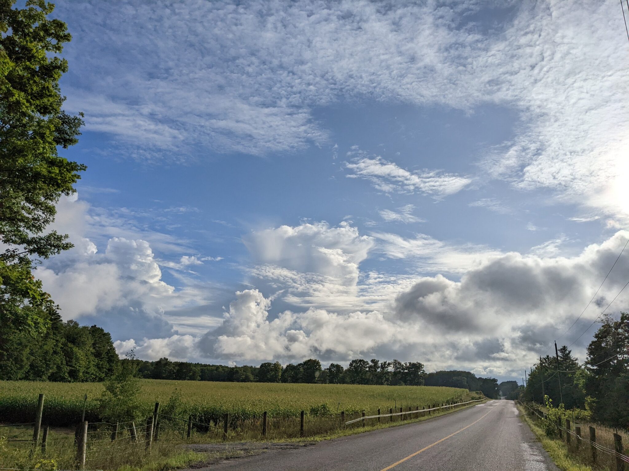 Heather Myers, Farm Roads