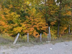 Heather Myers, Leaves