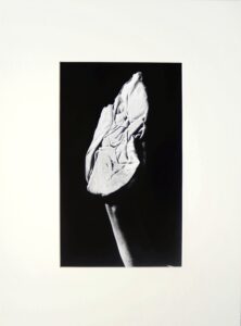 Ralph Gibson - Window Washer, Paris 1975