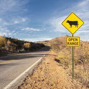 Ingrid Misner, Apache Trial, Arizona