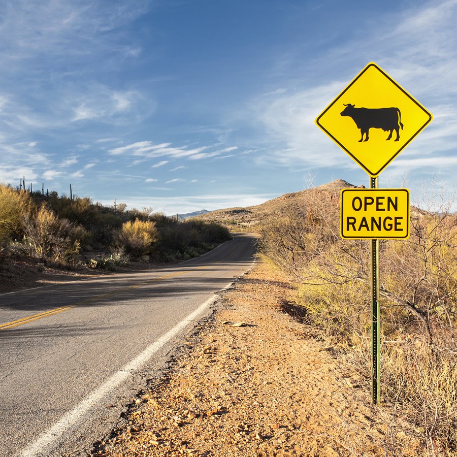 Ingrid Misner, Apache Trial, Arizona