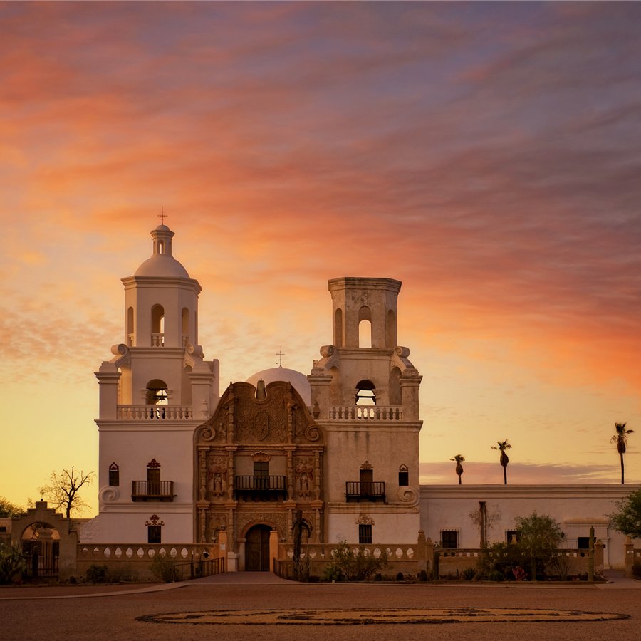 Ingrid Misner, White Dove In Desert, Tucson